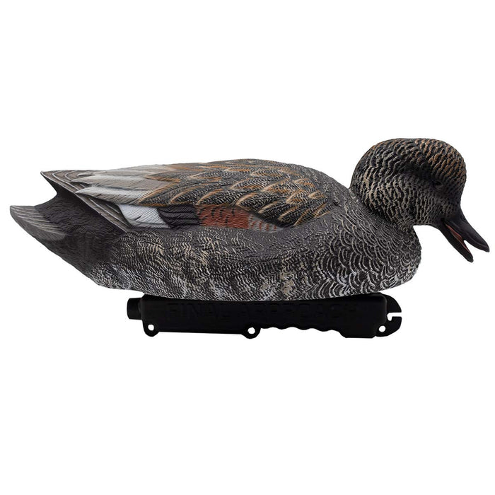 LIVE Gadwall Floaters - 6 Pack