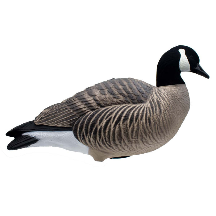 HD Full Body Lesser Canada Geese - 6 Pack