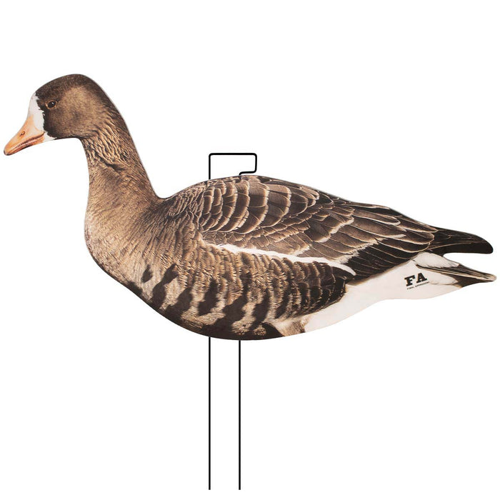Last Pass Specklebelly Silhouette Decoys - 12 Pack