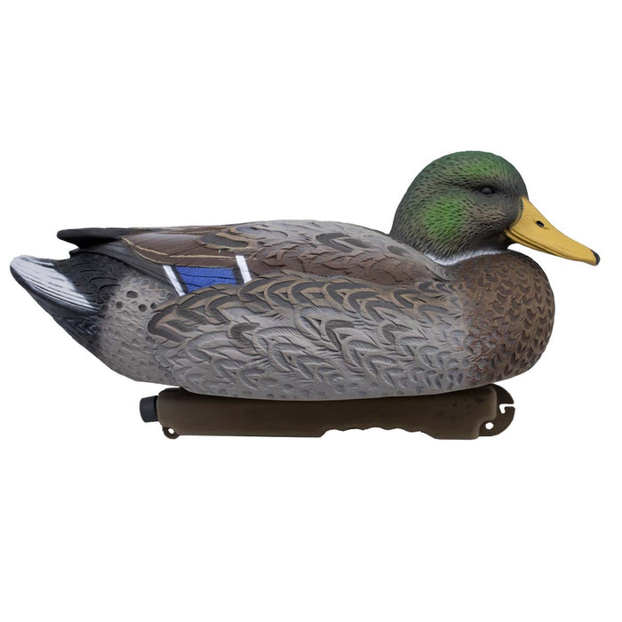 LIVE Early Season Mallards - 6 Pack