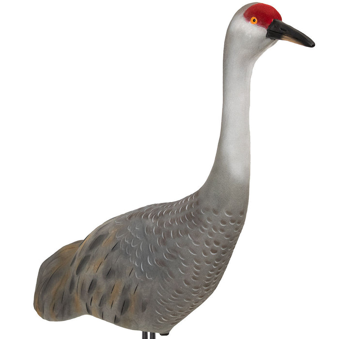LIVE Sandhill Fully Flocked Crane Decoys Upright - 2 Pack