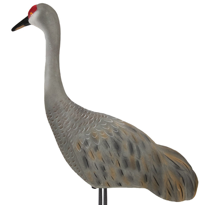 LIVE Sandhill Fully Flocked Crane Decoys Upright - 2 Pack