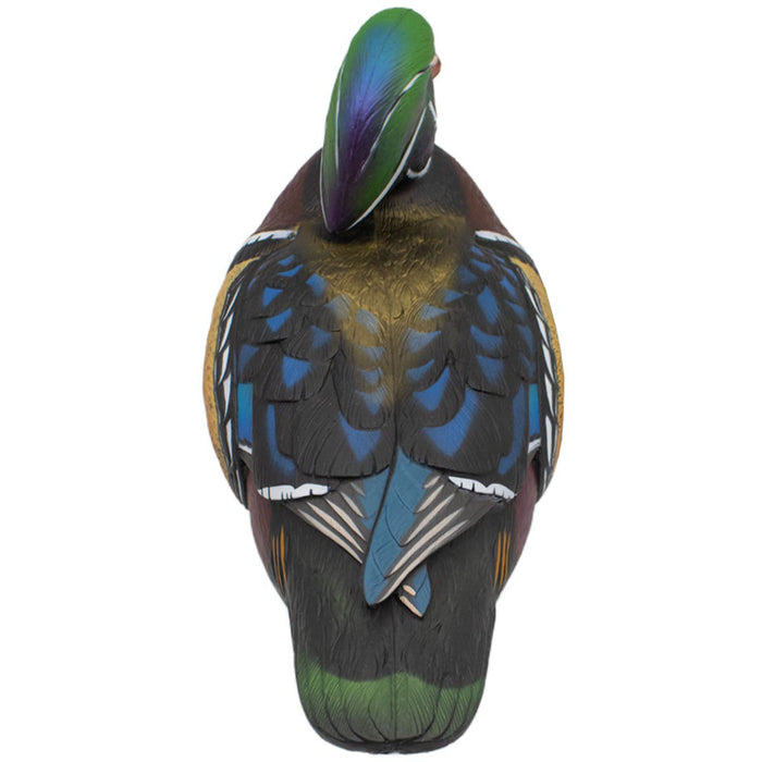 LIVE Wood Ducks - 6 Pack