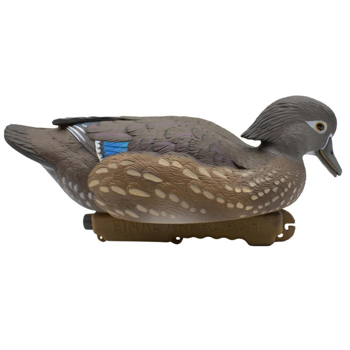 LIVE Wood Ducks - 6 Pack