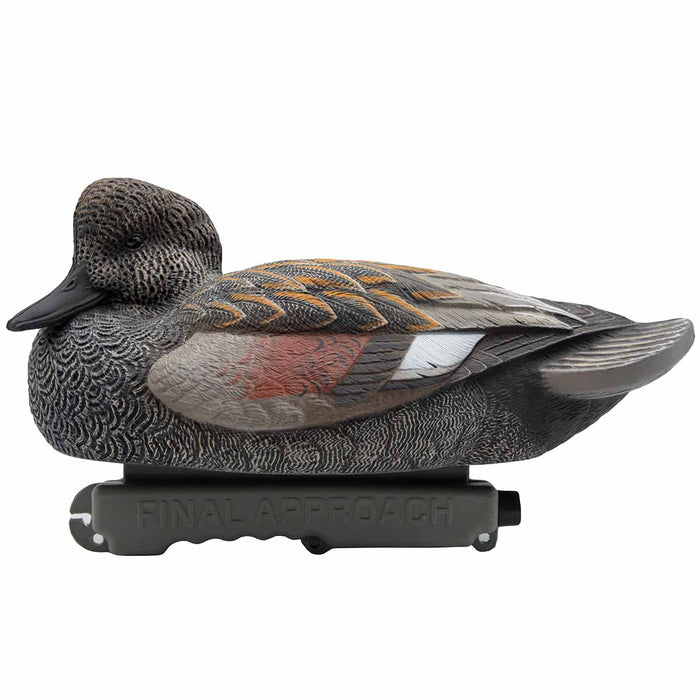 LIVE Bonus Duck Pack - 6 Pack