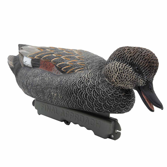 LIVE Bonus Duck Pack - 6 Pack