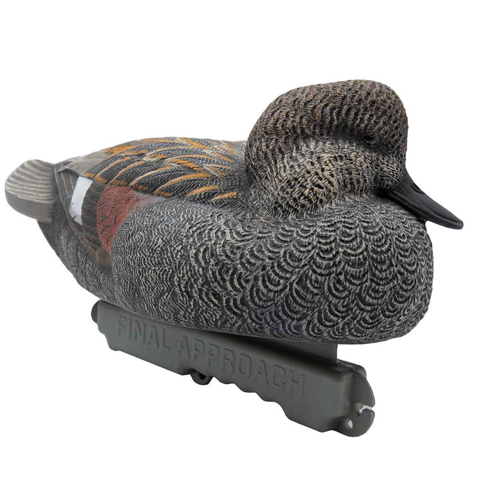 LIVE Bonus Duck Pack - 6 Pack