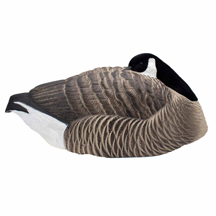 Last Pass Honker Sleeper Shells - 12 Pack
