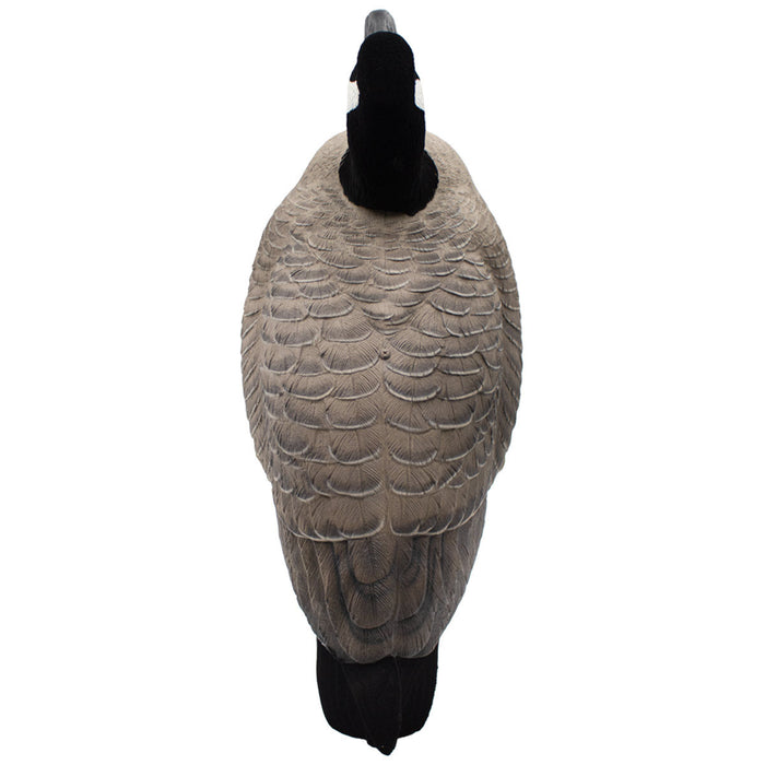 LIVE Full Body Honkers Uprights - 4 Pack
