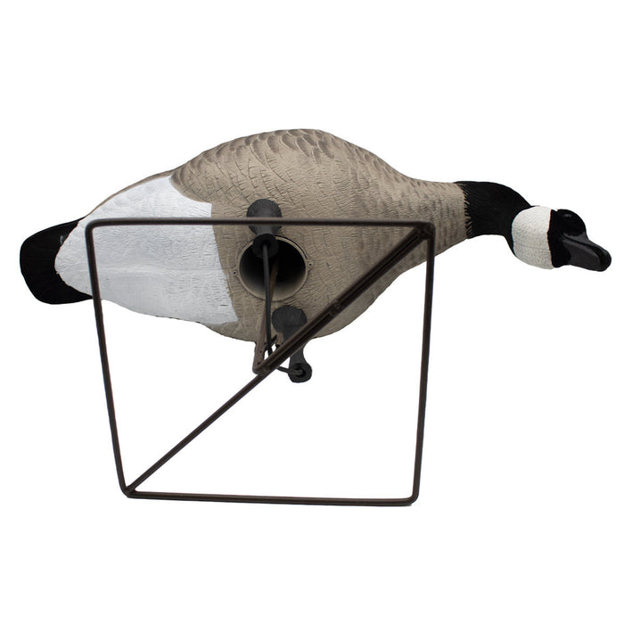 LIVE Full Body Honkers Feeders - 4 Pack