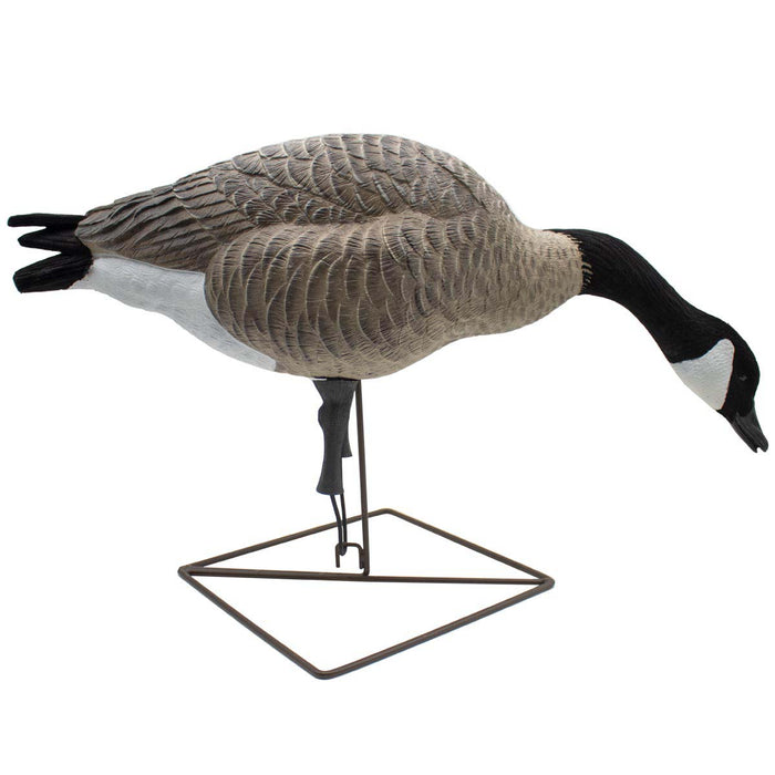 LIVE Full Body Honkers Feeders - 4 Pack