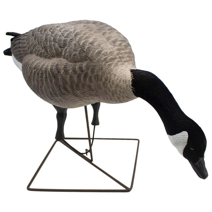 LIVE Full Body Honkers Feeders - 4 Pack