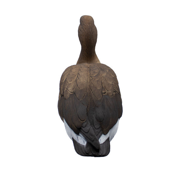 LIVE Full Body Specklebelly Decoys - 6 Pack