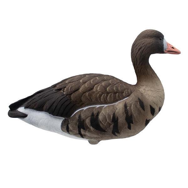 LIVE Full Body Specklebelly Decoys - 6 Pack