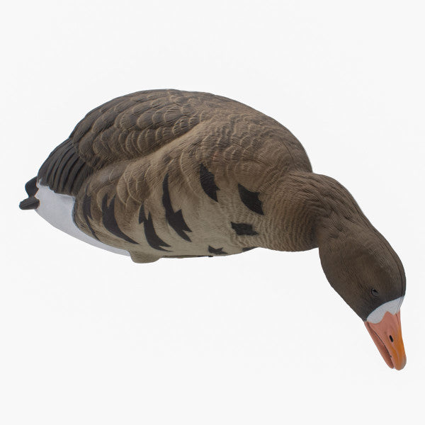 LIVE Full Body Specklebelly Decoys - 6 Pack