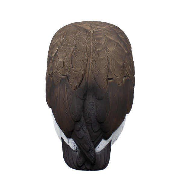 LIVE Full Body Specklebelly Decoys - 6 Pack