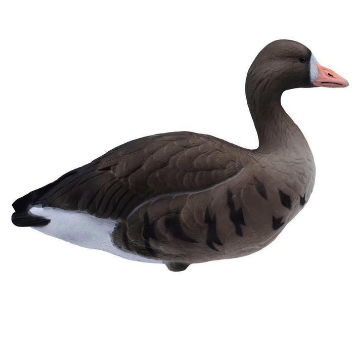 LIVE Fully Flocked Full Body Specklebelly Geese - 6 Pack