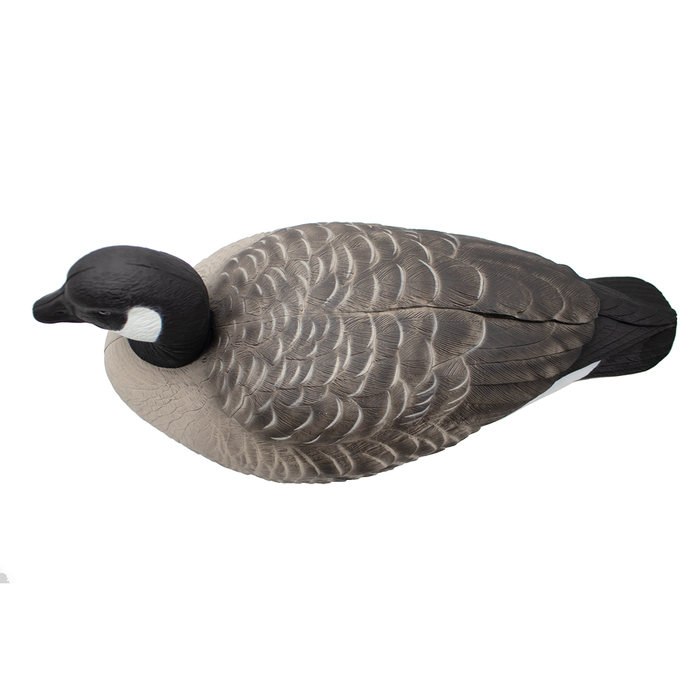 Last Pass Floating Canada Geese - 6 Pack