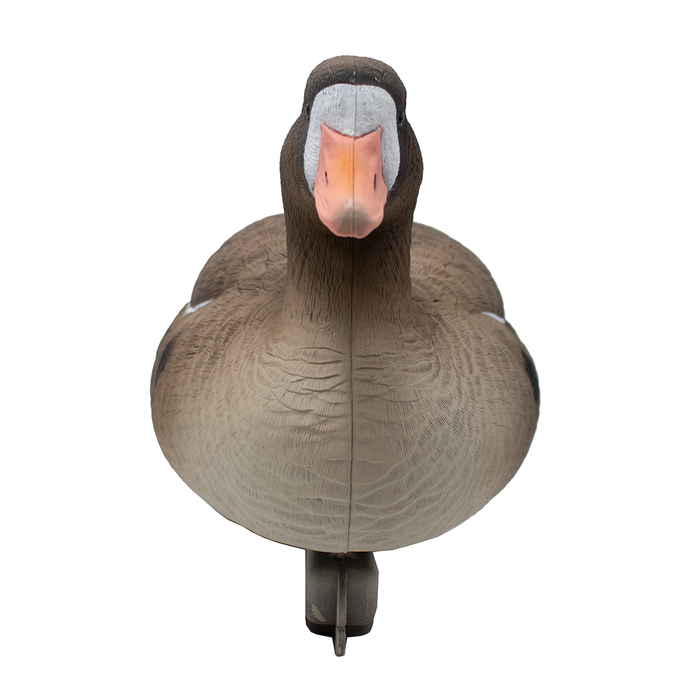 Last Pass Floating Specklebelly Geese - 6 Pack