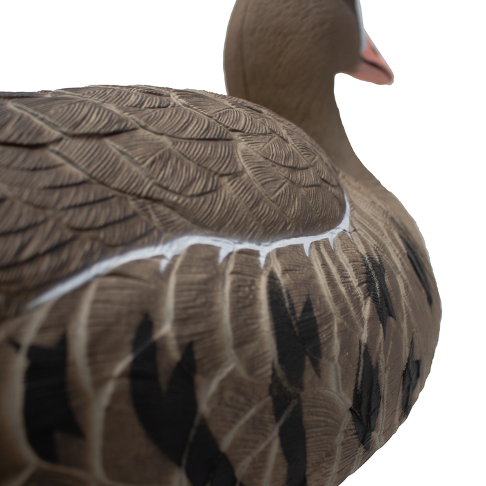 Last Pass Floating Specklebelly Geese - 6 Pack