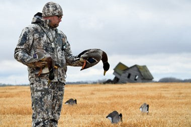 Advanced Waterfowl Hunting: 6 Proven Guide Secrets