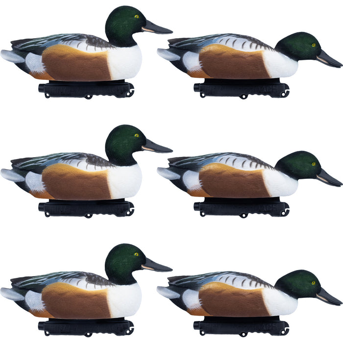 Live Fully Flocked Northern Shovelers Floating Duck Decoys, 6 Pack