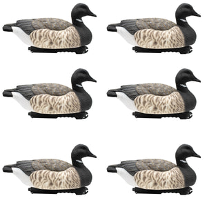Last Pass Brant Goose Floater