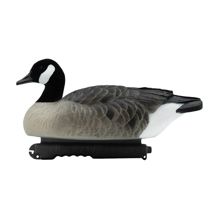 Last Pass Floating Canada Geese with Flocked Heads - 6 Pack
