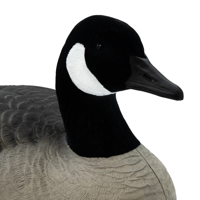 Last Pass Floating Canada Geese with Flocked Heads - 6 Pack