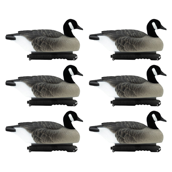 Last Pass Floating Canada Geese with Flocked Heads - 6 Pack