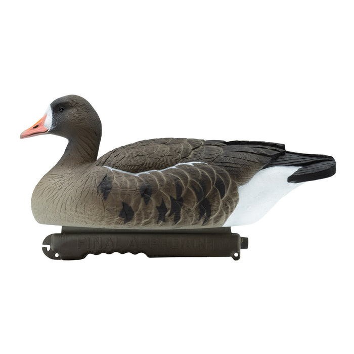 Last Pass Floating Specklebelly Geese - 6 Pack