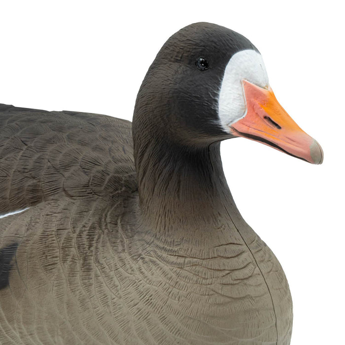 Last Pass Floating Specklebelly Geese - 6 Pack