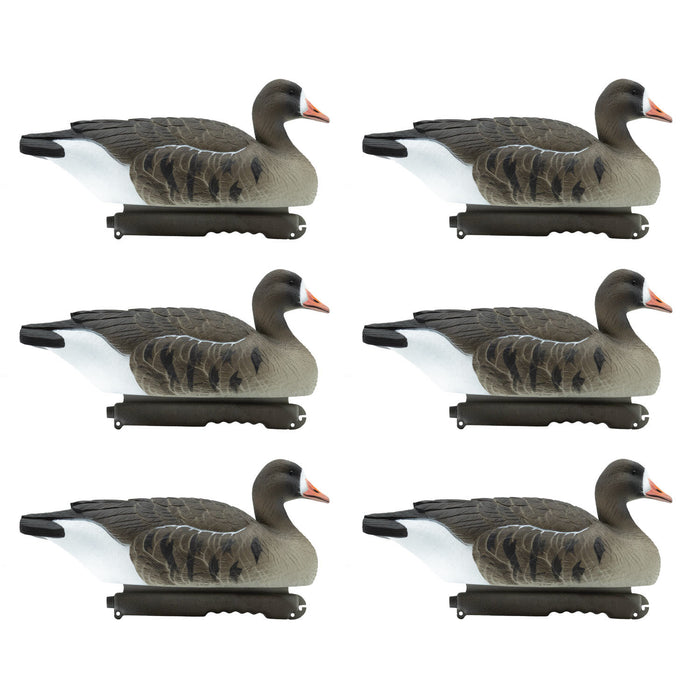 Last Pass Floating Specklebelly Geese - 6 Pack