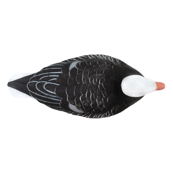 Last Pass Blue Goose Floaters - 6 Pack