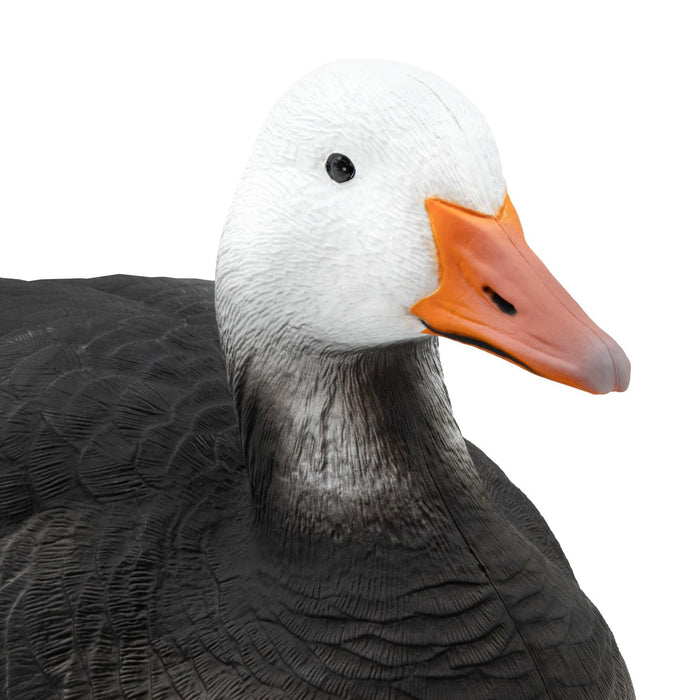 Last Pass Blue Goose Floaters - 6 Pack