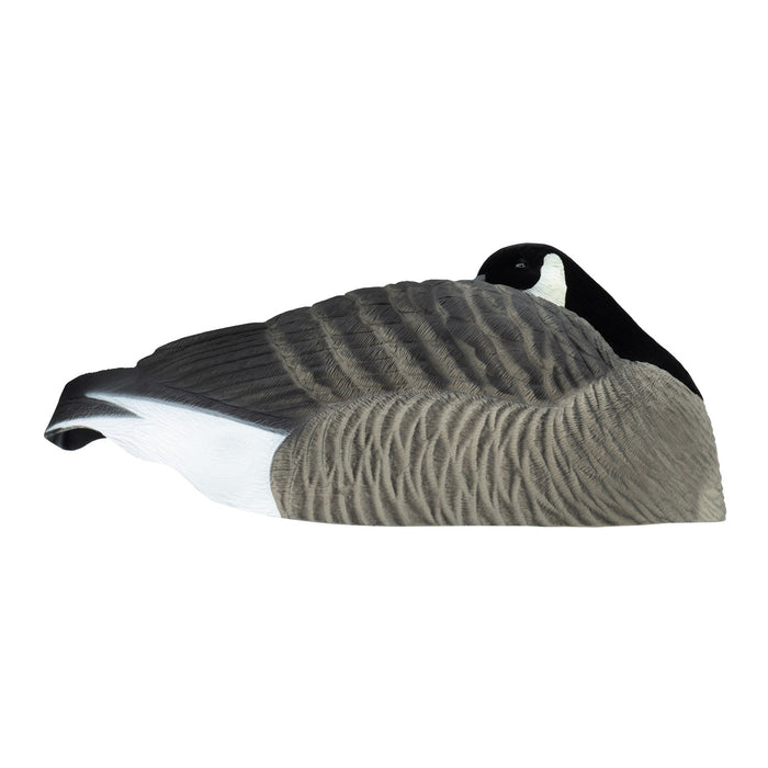 Last Pass Honker Sleeper Shells - 12 Pack