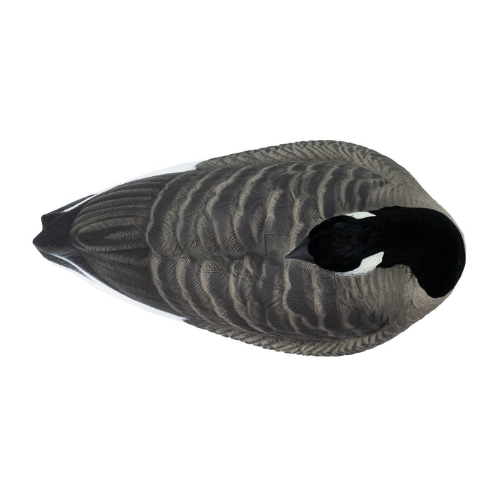Last Pass Honker Sleeper Shells - 12 Pack
