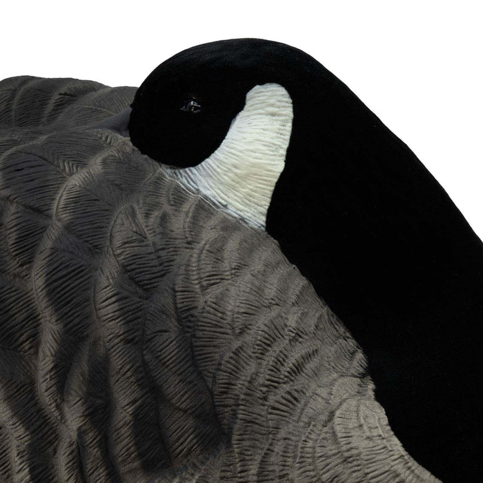 Last Pass Honker Sleeper Shells - 12 Pack