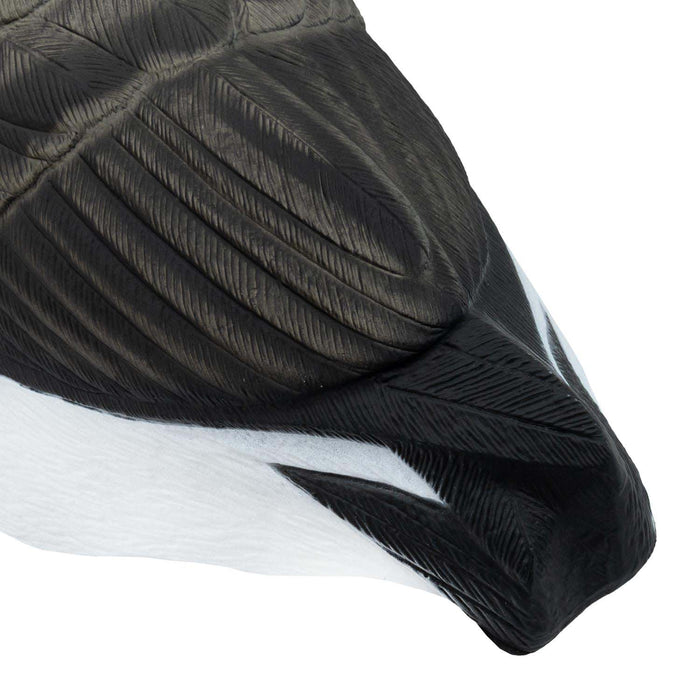 Last Pass Honker Sleeper Shells - 12 Pack