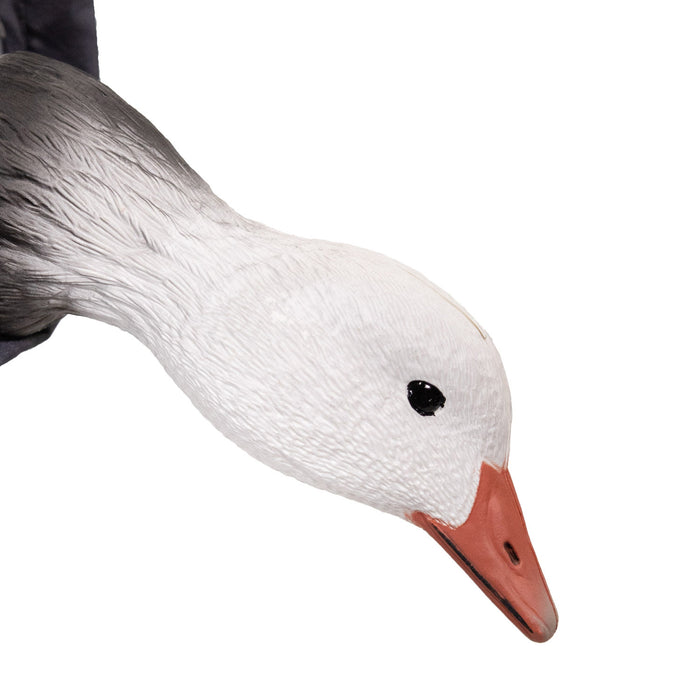 Live Canada Goose Socks with 3D Heads