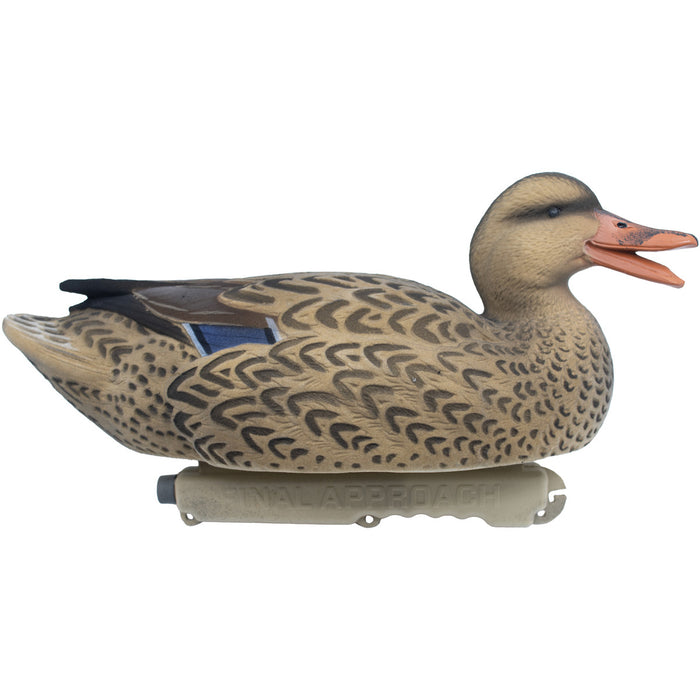 Live Mallard Floaters Fully Flocked Duck Decoy with 12-Slot Decoy Bag