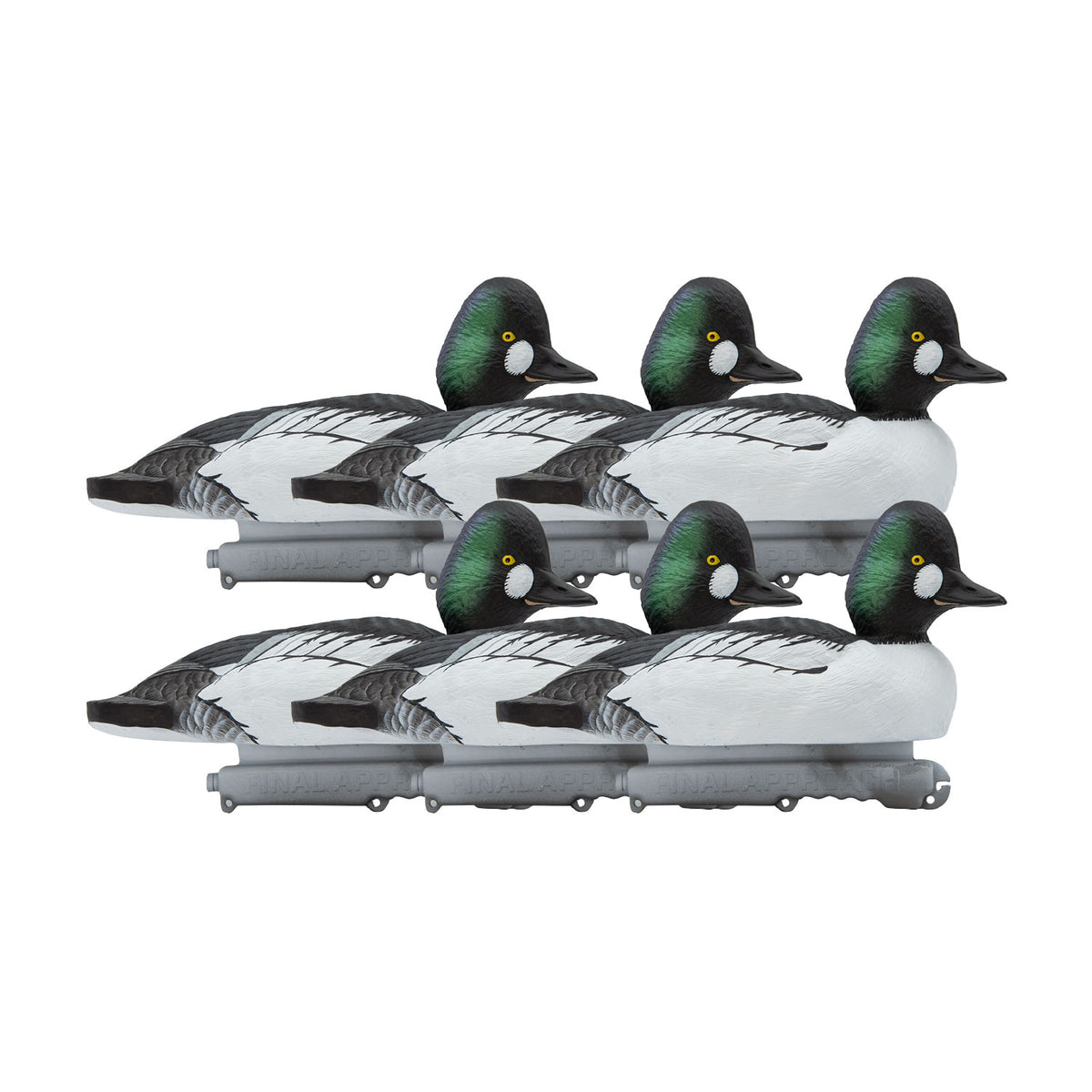 FA-242740-Common-Goldeneye-