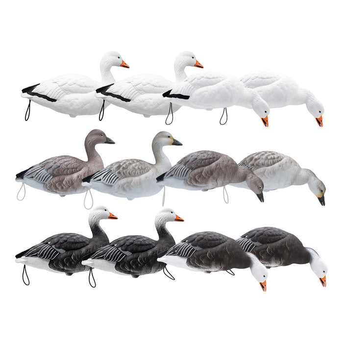 LIVE Full Body Snow and Blue Goose - 12Pack