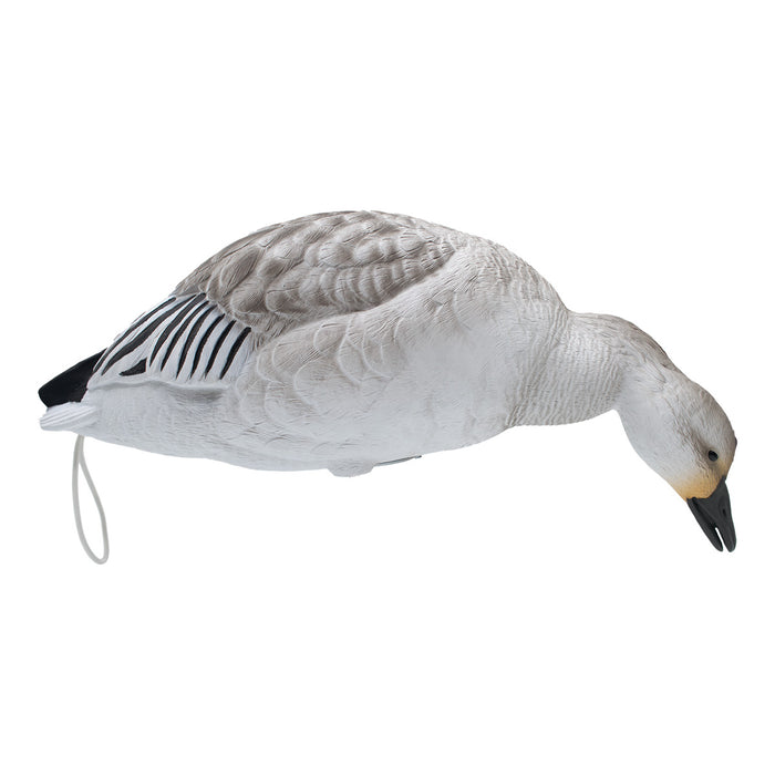 LIVE Full Body Snow and Blue Goose - 12Pack