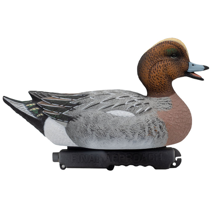 HD Eurasian Wigeon Duck Decoys, 6 Pack