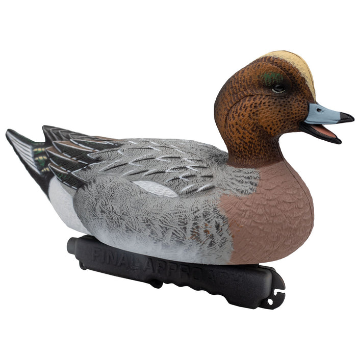 HD Eurasian Wigeon Duck Decoys, 6 Pack