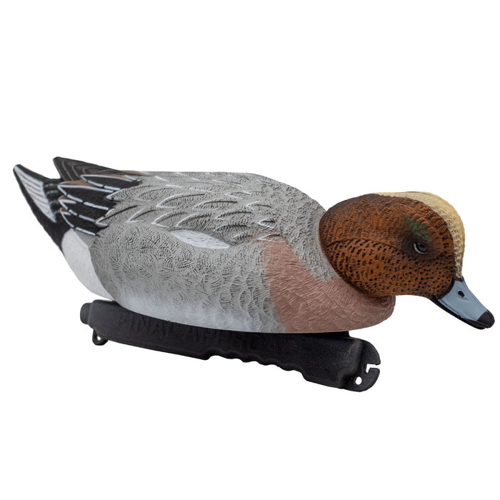 HD Eurasian Wigeon Duck Decoys, 6 Pack