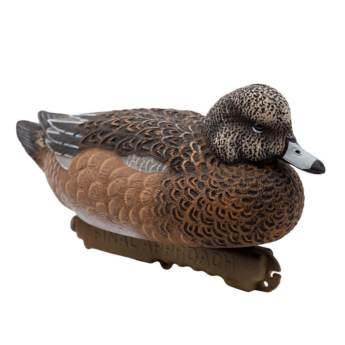 HD Eurasian Wigeon Duck Decoys, 6 Pack