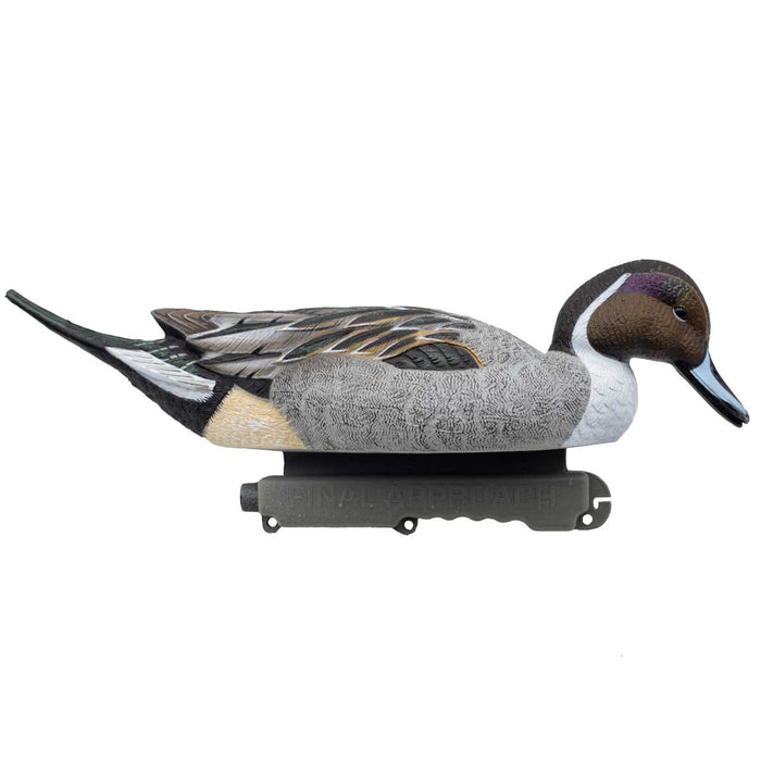 HD Pintail Floating Duck Decoys,  6 Pack