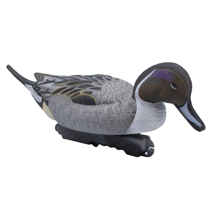 HD Pintail Floating Duck Decoys,  6 Pack